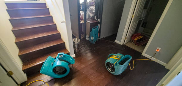 Reliable Whiteville, NC Water damage restoration Solutions