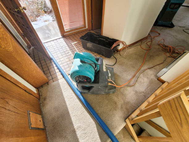 Best Emergency water damage restoration  in Whiteville, NC