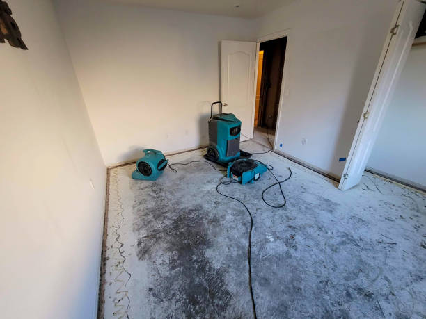 Best Water damage restoration near me  in Whiteville, NC