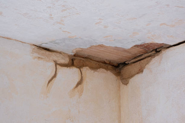 Best 24/7 water damage repair  in Whiteville, NC