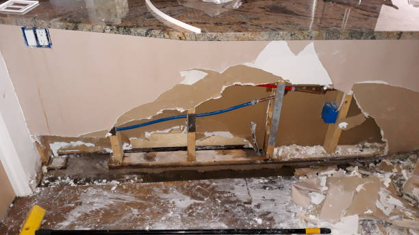 Best Water damage cleanup near me  in Whiteville, NC