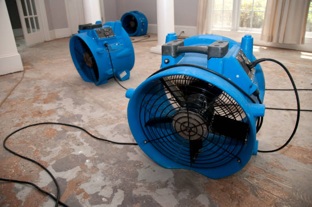 Best Carpet water damage restoration  in Whiteville, NC