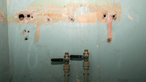 Best Flood damage cleanup  in Whiteville, NC
