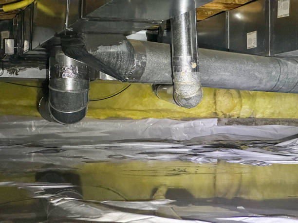 Best Fire Damage Restoration  in Whiteville, NC