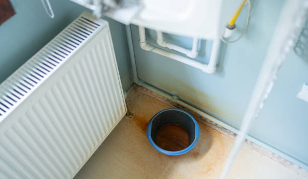 Best Ceiling water damage repair  in Whiteville, NC