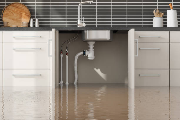 Best Ceiling water damage repair  in Whiteville, NC