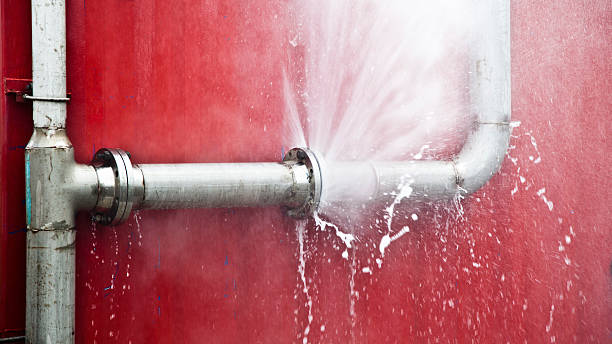 Best Sewage cleanup and water damage restoration  in Whiteville, NC